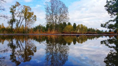 Reflection of trees on lake against sky