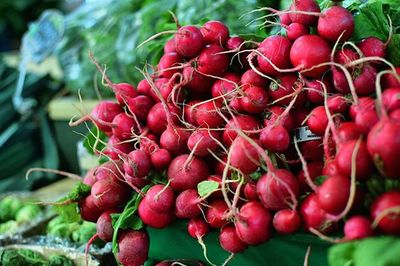 Close-up of red berries