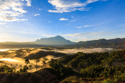 Scenic view of landscape against sky