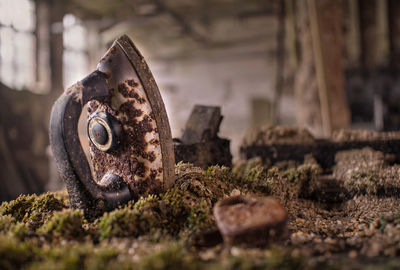 Old rusty iron in moss at abandoned house