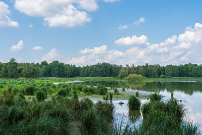 Scenic view of lake against sky