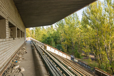 Railroad tracks amidst trees