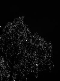 Low angle view of firework display