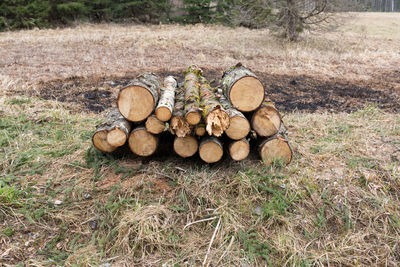 Stack of logs in field