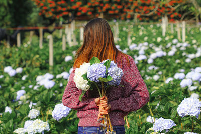 Rear view of woman holding red flowering plant