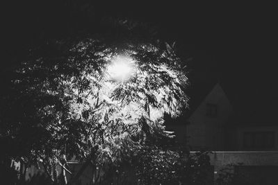 Low angle view of silhouette trees by building against sky at night