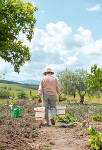 Rear view of man working on field against sky