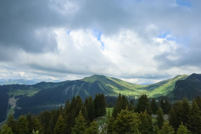 Panoramic view of trees and mountains against sky