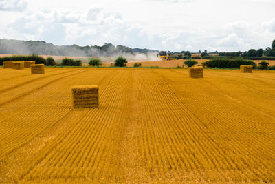 Hay bales in field