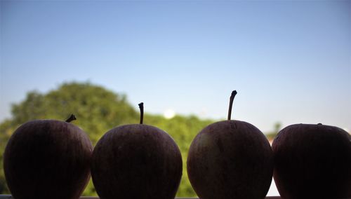 Close-up of apples against clear sky