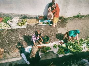 High angle view of people working on plant