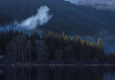 Scenic view of lake and trees against sky