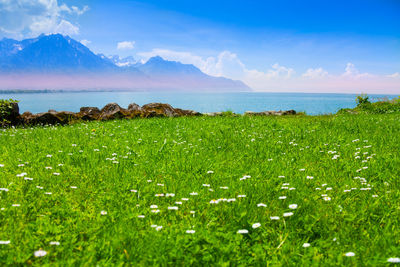 Scenic view of sea against sky