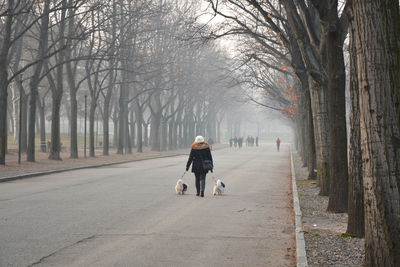 Rear view of woman walking on road amidst trees