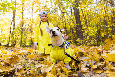 Portrait of a dog in forest during autumn