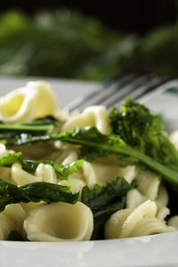 Close-up of chopped vegetables in plate