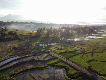 Scenic view of agricultural field against sky