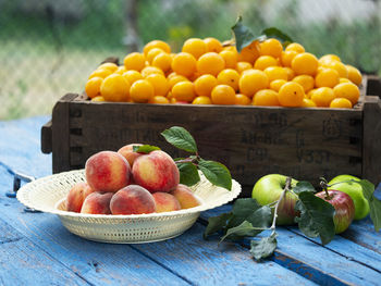 Organic cherry plums in vintage box, bowl with peaches and apples on weathered blue wooden surface