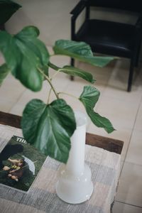 High angle view of leaves in vase on table at home