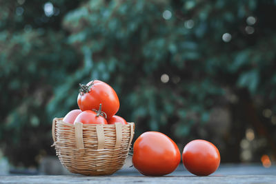 Close-up of tomatoes