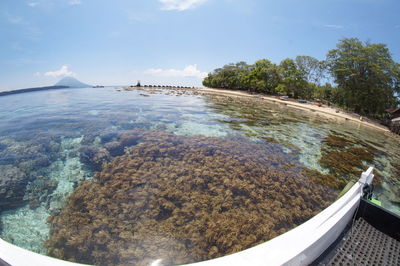 Fish eye view of coral in sea against sky
