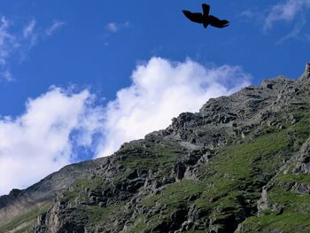 View of bird flying over rocky mountain