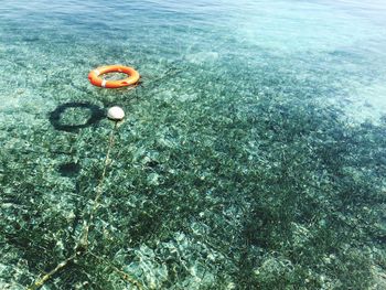 Translucent ibiza sea