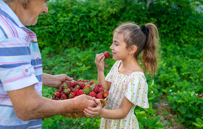 Smiling girl eating strawberries standing in front of grandmother