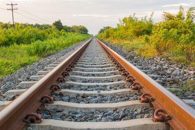 Railroad tracks by trees against sky