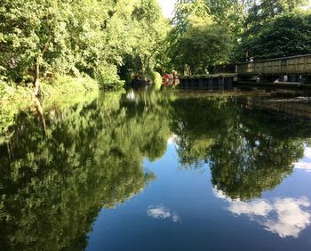 Reflection of trees in lake against sky