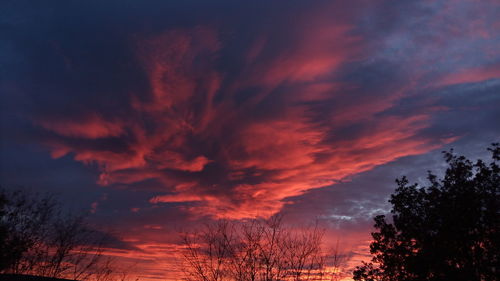 Low angle view of silhouette trees against dramatic sky
