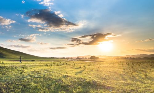 Scenic view of field against sky during sunset