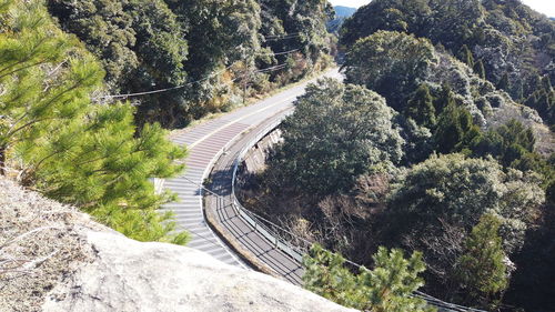 High angle view of road amidst plants