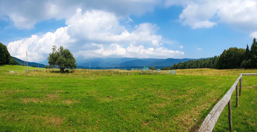 Scenic view of field against sky