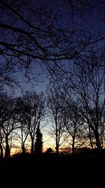 Silhouette of bare trees at sunset