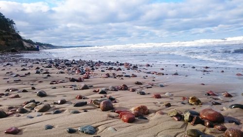 Scenic view of beach against sky