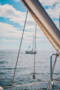 Sailboats sailing on sea against sky