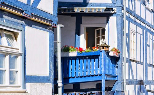 Potted plants on balcony of building