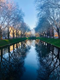 Reflection of trees in canal