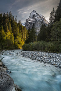 Scenic view of river by trees against sky