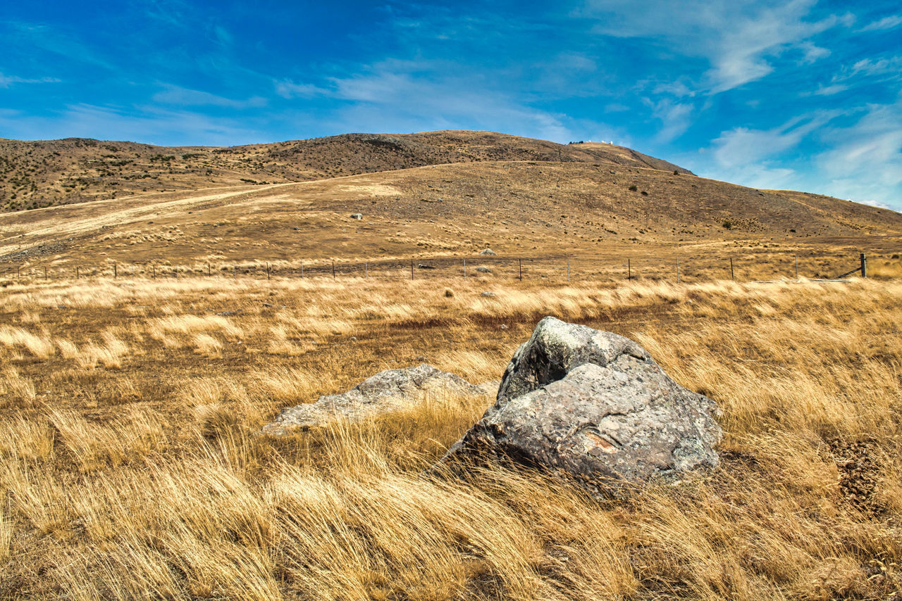 SCENIC VIEW OF ARID LANDSCAPE