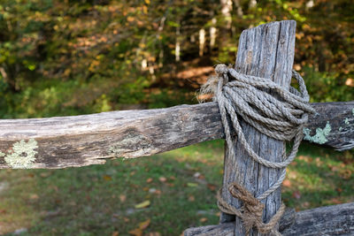 Close-up of rope tied on wood