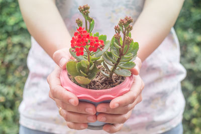 Midsection of woman holding potted plant while standing at yard