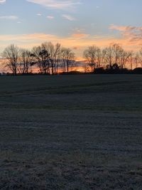 Silhouette bare trees on field against sky during sunset