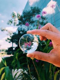 Cropped hand holding crystal ball against plants