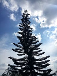 Low angle view of palm tree against sky