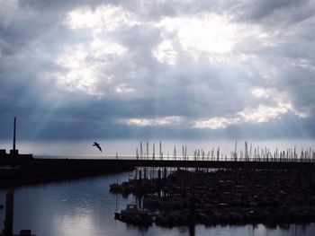 Bird flying over sea against cloudy sky