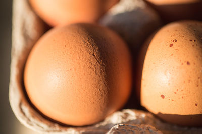 Close-up of brown eggs in carton