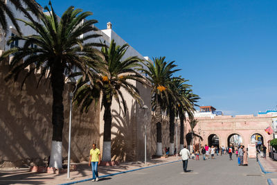 People walking in palm trees