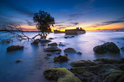 Tree in sea against sky during sunset